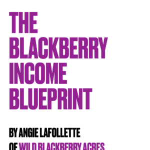 The Blackberry Income Blueprint Mini Book